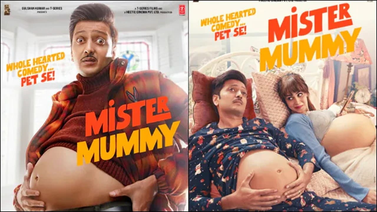 मिस्टर मम्मी - immagine