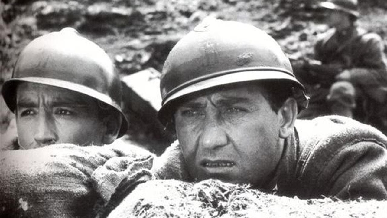 La grande guerra - immagine