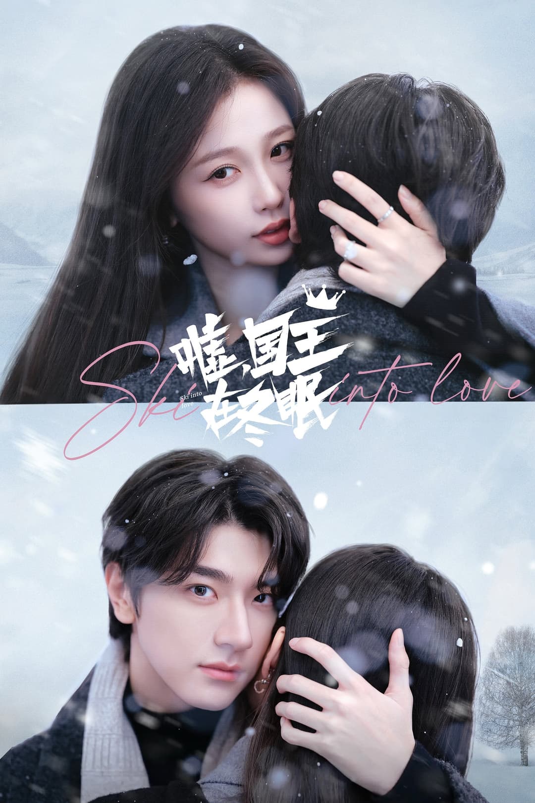 Poster di 嘘，国王在冬眠