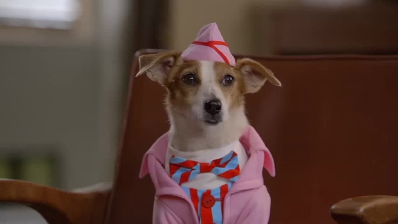 Zampa 2 - I cuccioli di Natale - immagine