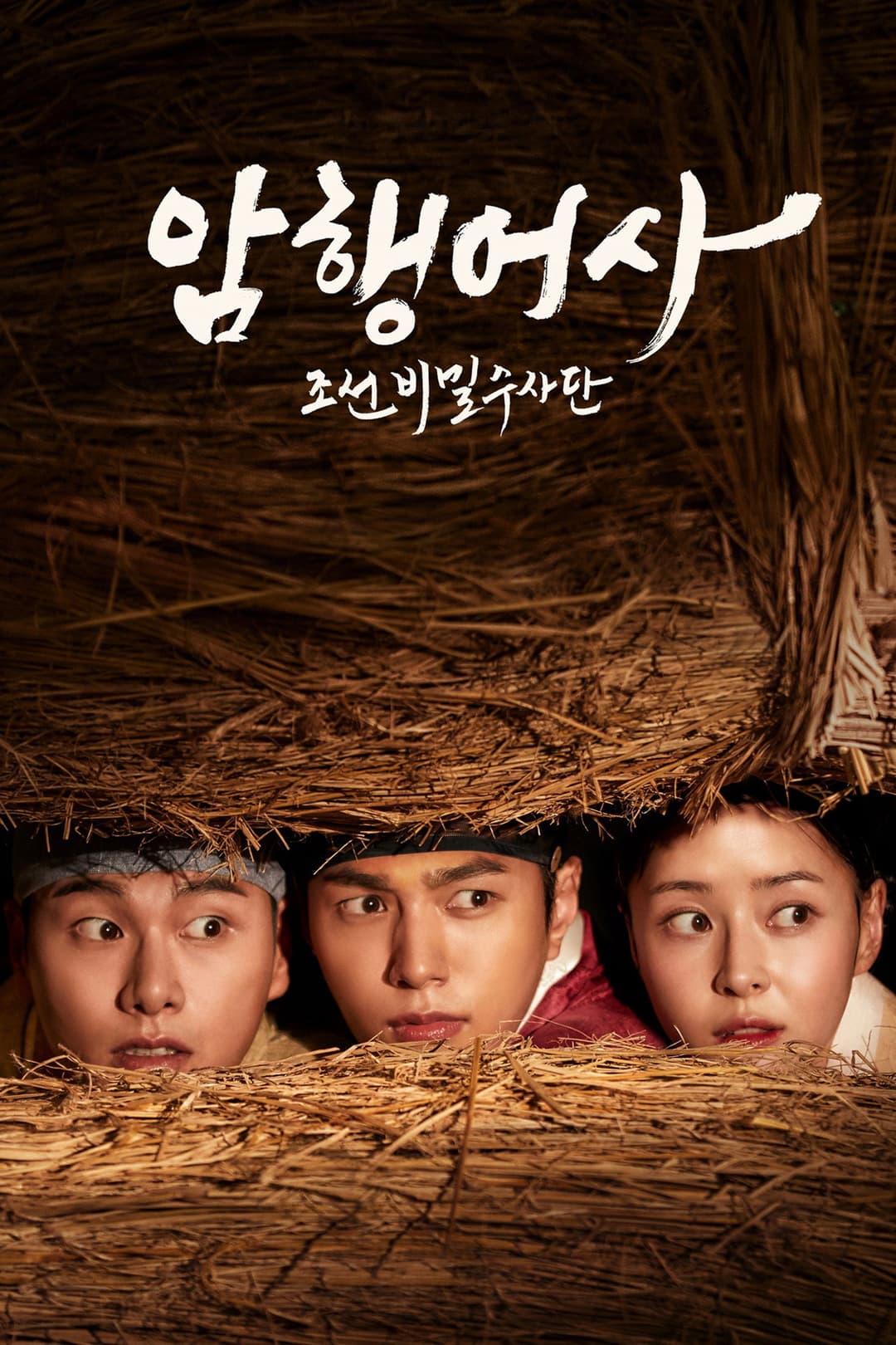 Poster di Royal Secret Agent