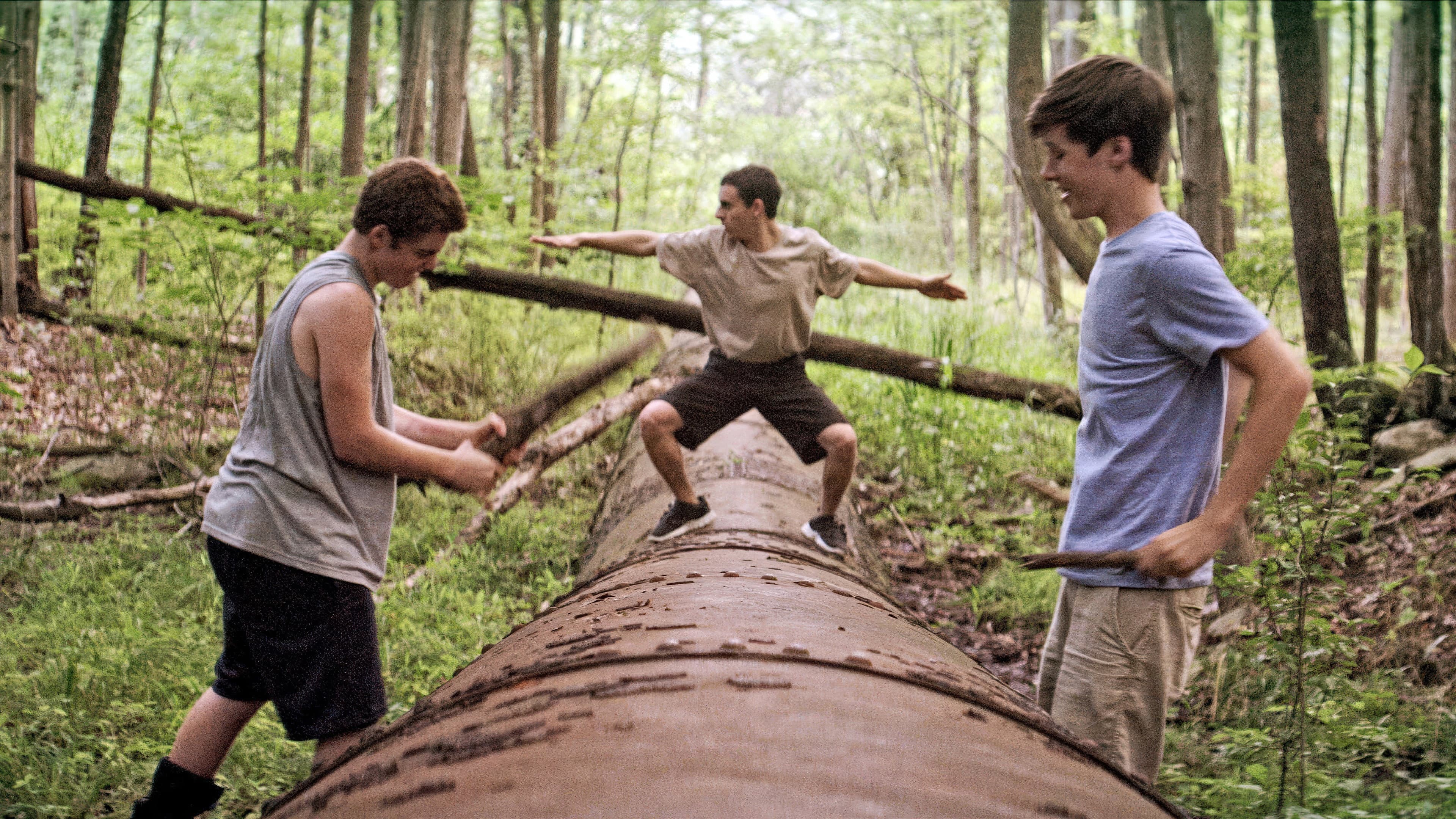 The Kings of Summer - immagine