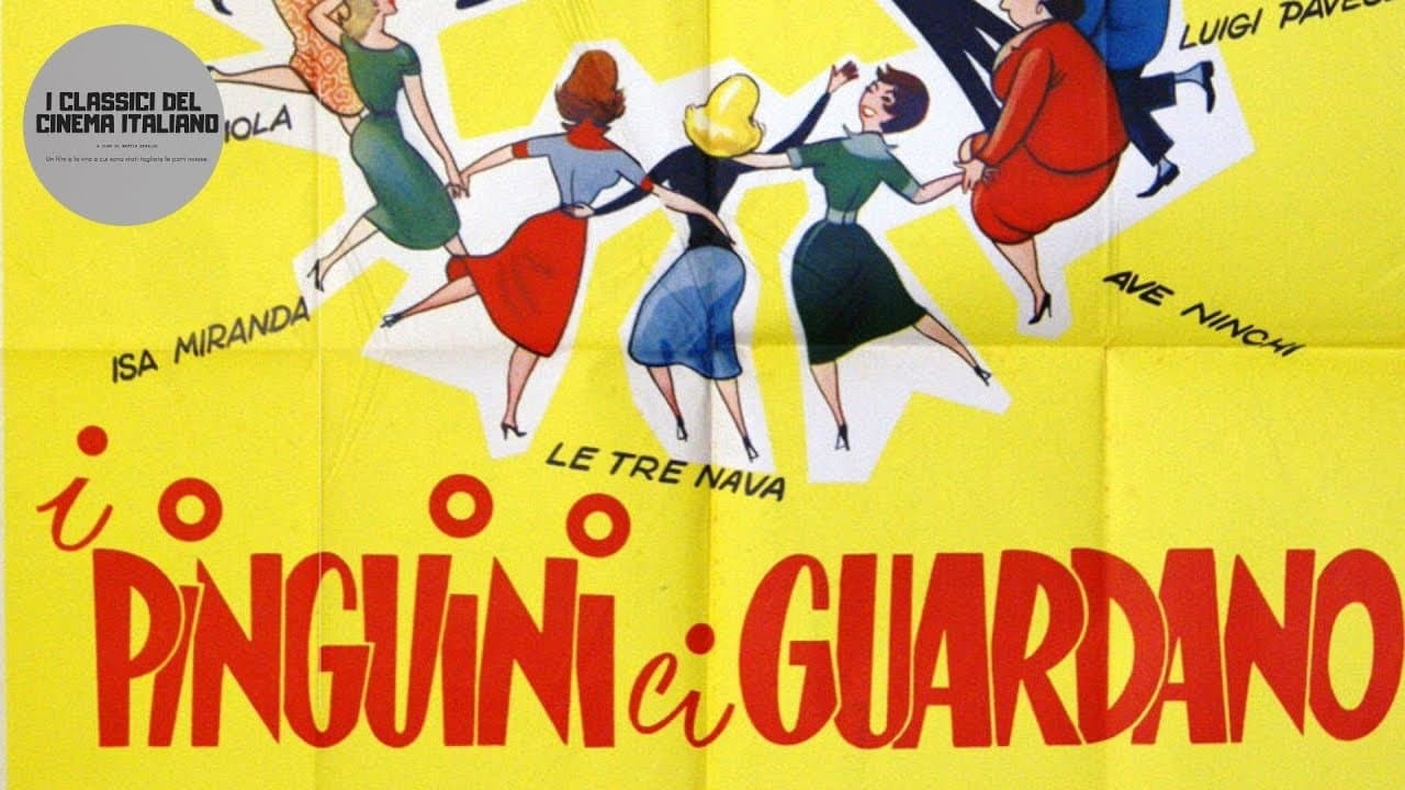 I pinguini ci guardano - immagine