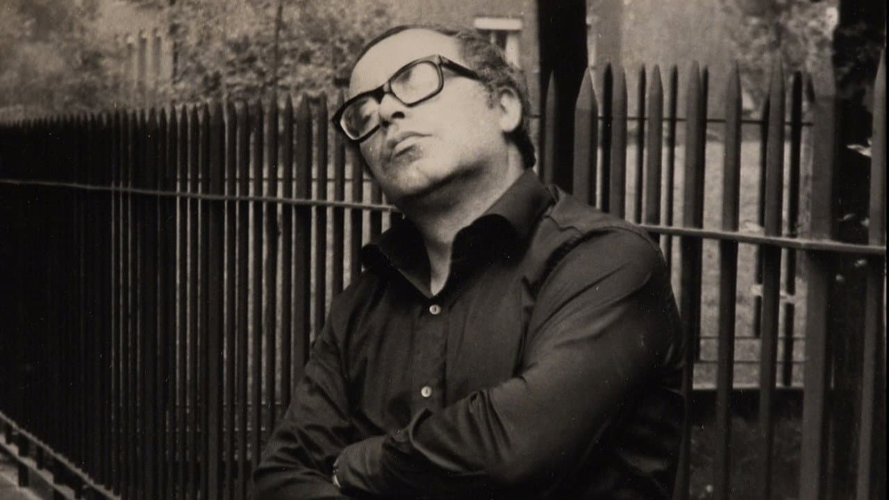 Un milanese a Milano - Walter Valdi - immagine