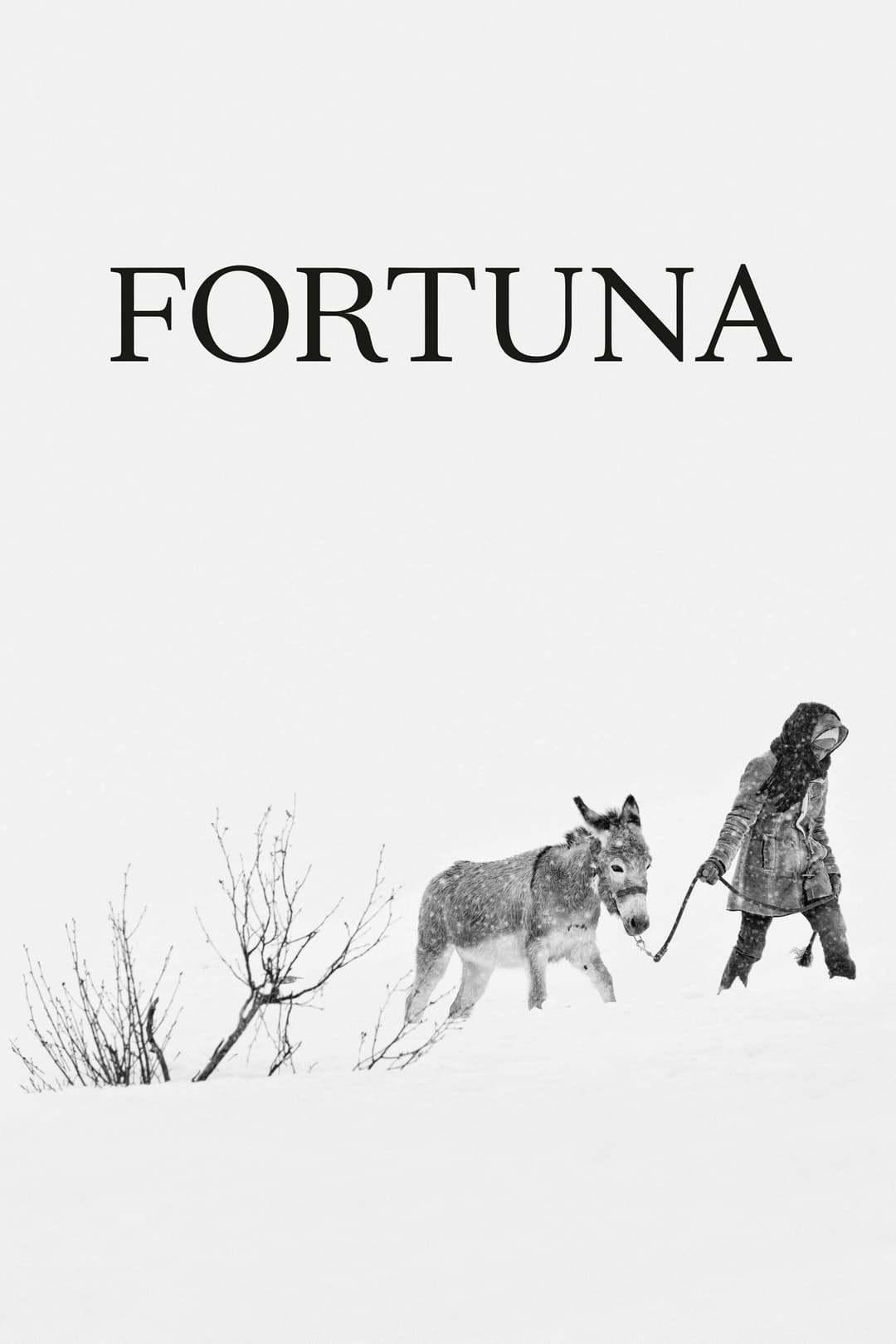 Poster di Fortuna