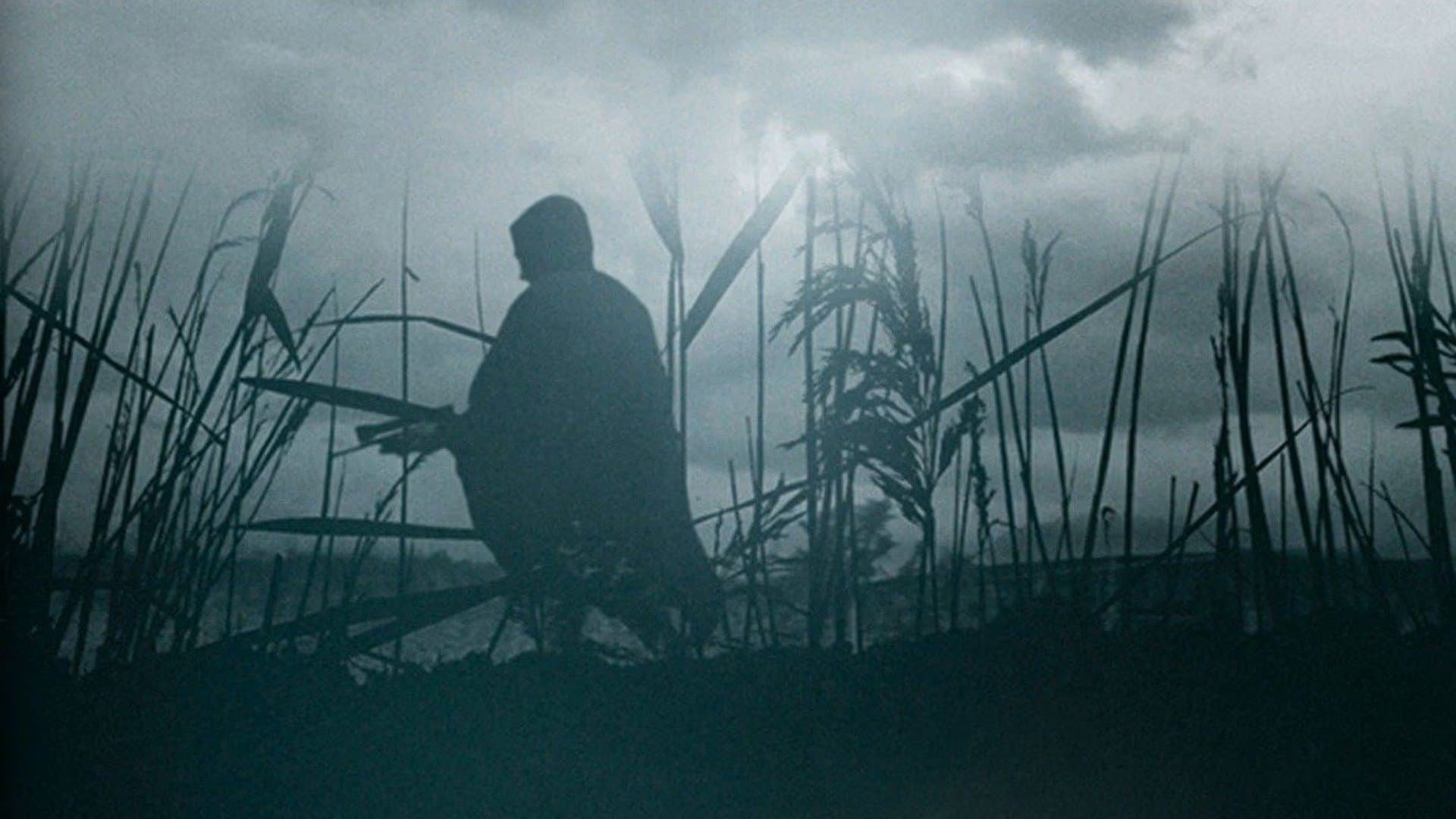 The Reeds - immagine