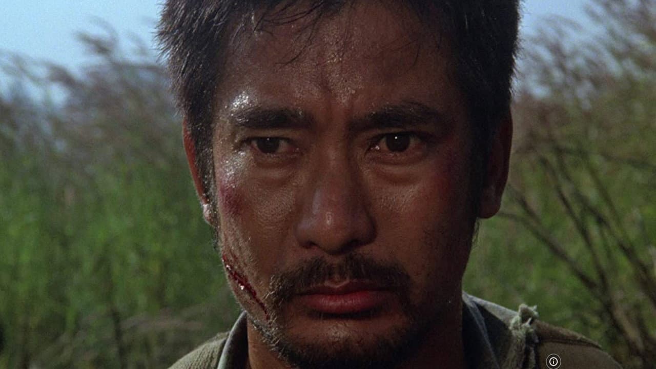 Heroes Shed No Tears - immagine