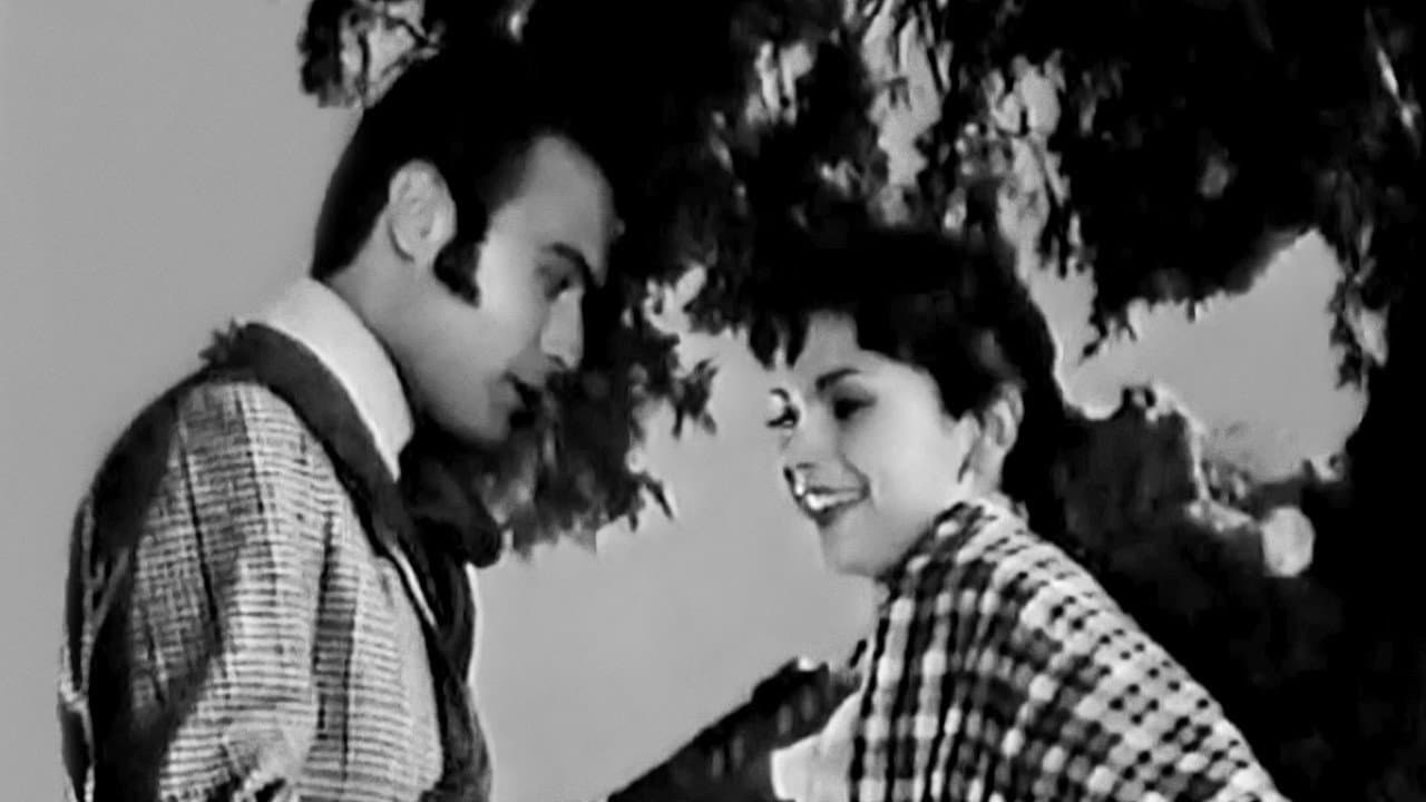 Ανθισμένη Αμυγδαλιά - immagine