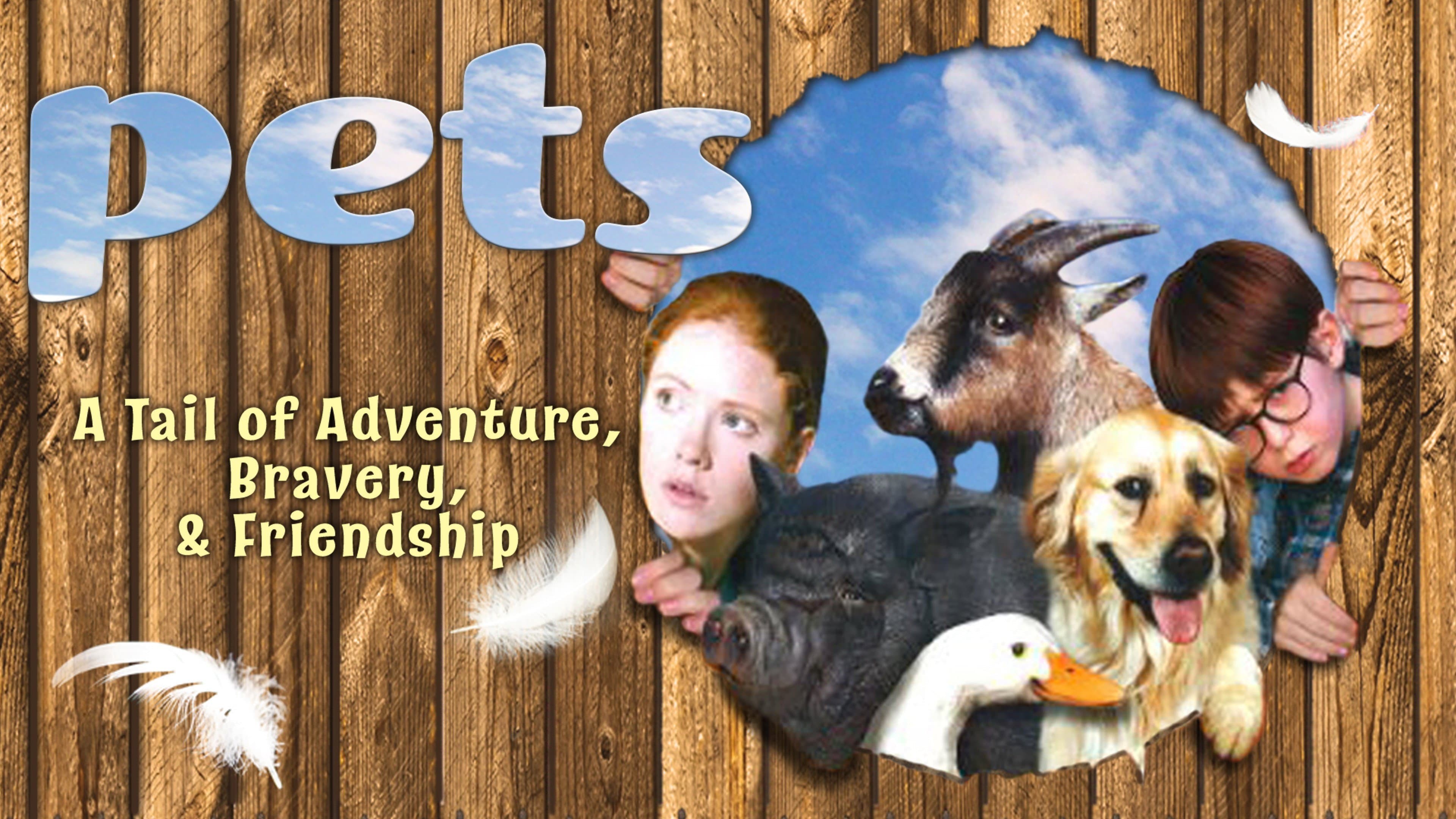 Pets - immagine