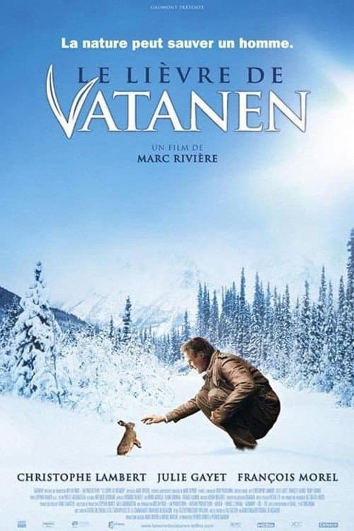 Poster di Le lièvre de Vatanen