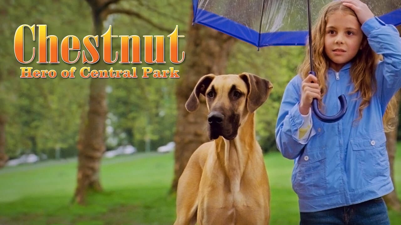 Chestnut - L'eroe di Central Park - immagine