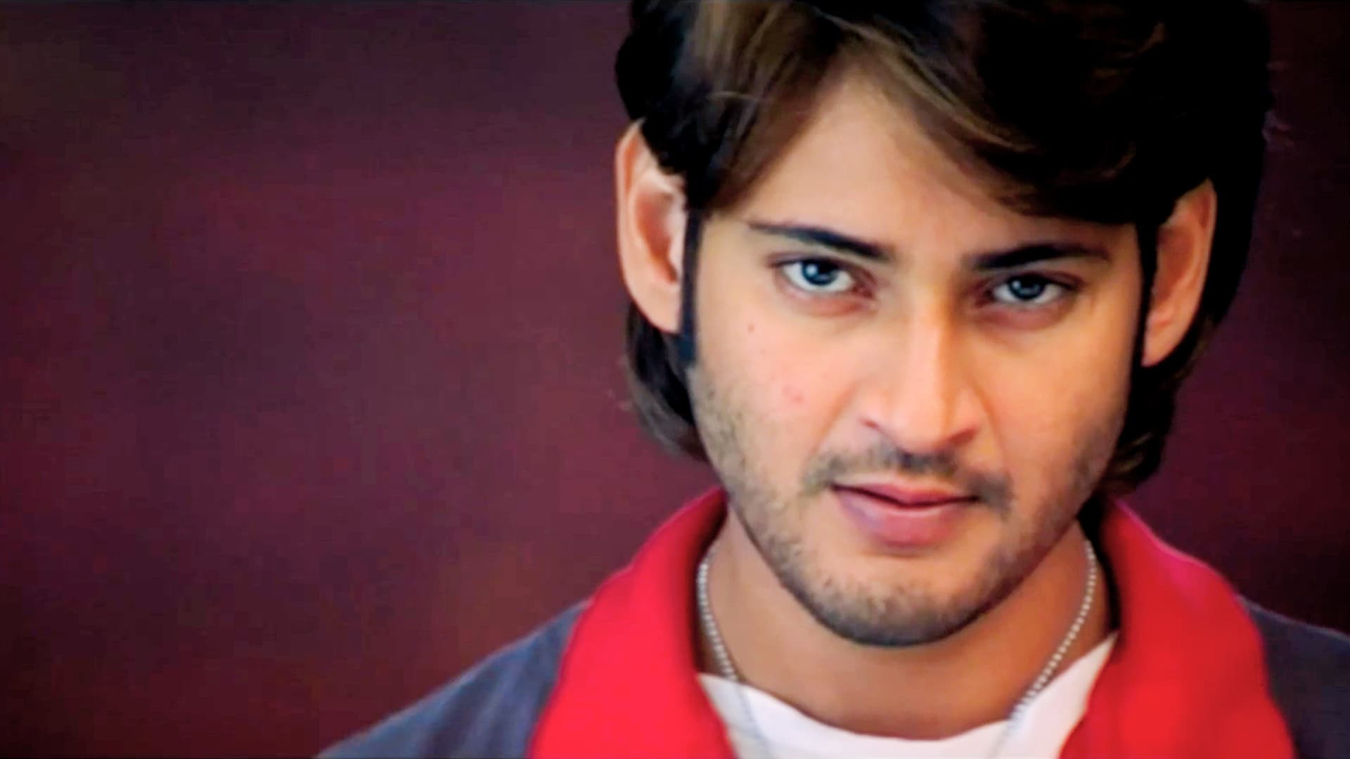 అతిథి - immagine