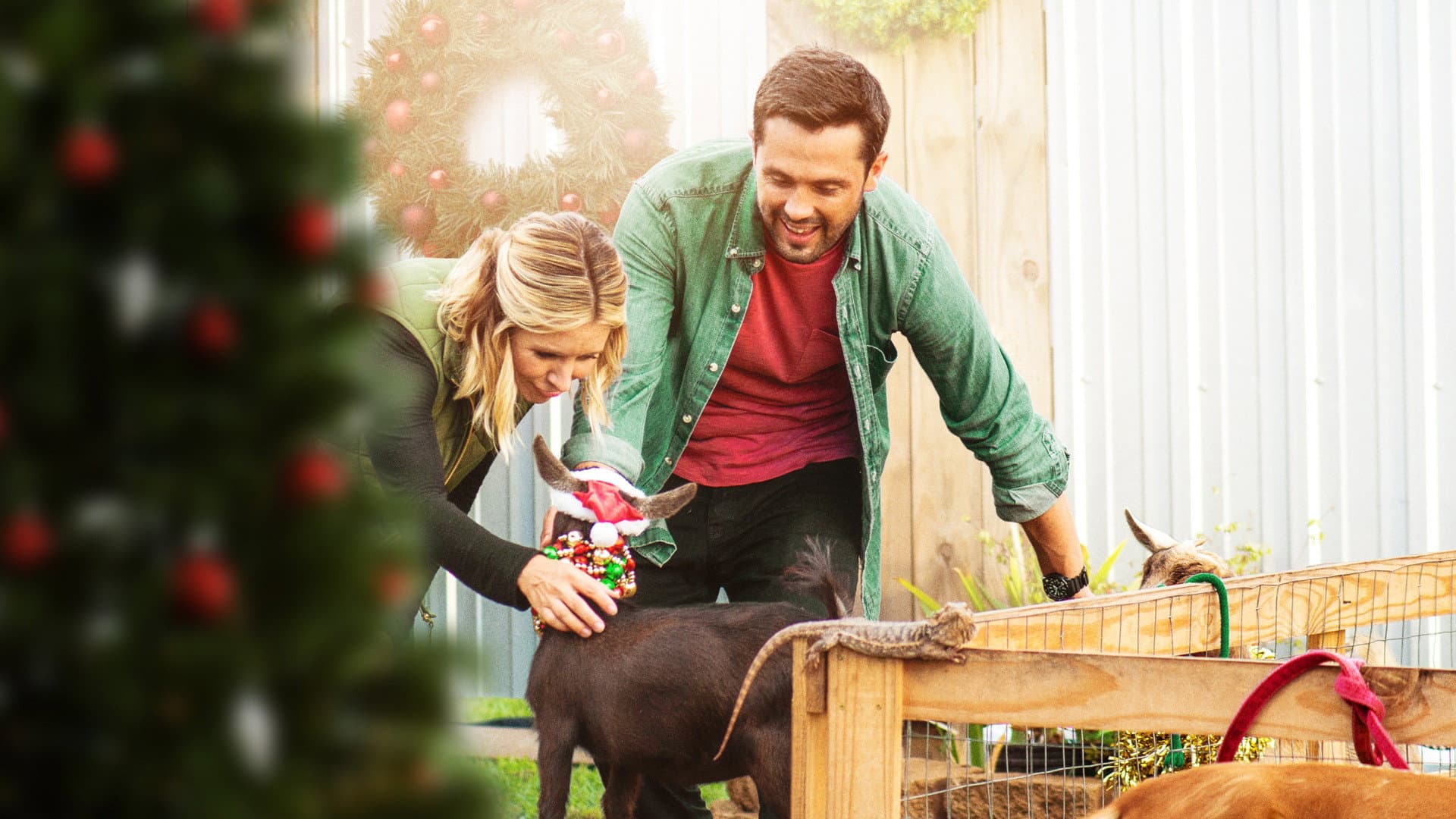 La tradizione del Natale - immagine