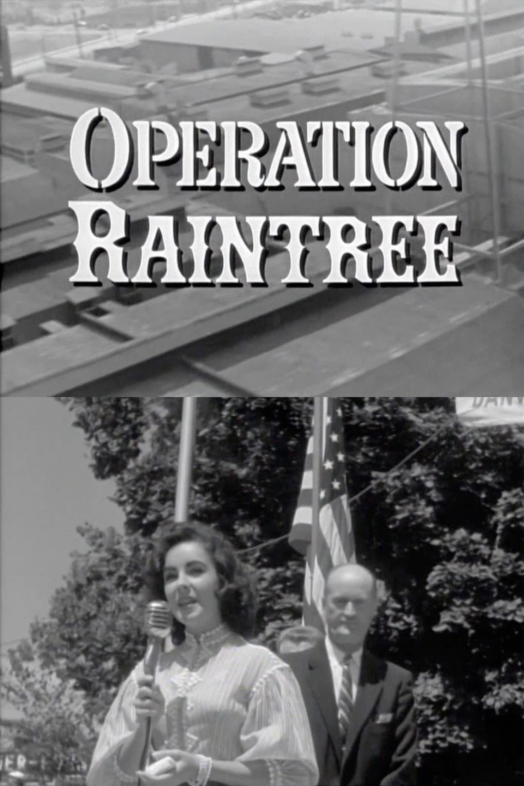 Poster di Operation Raintree