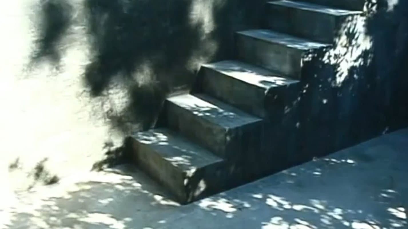 Steps - immagine