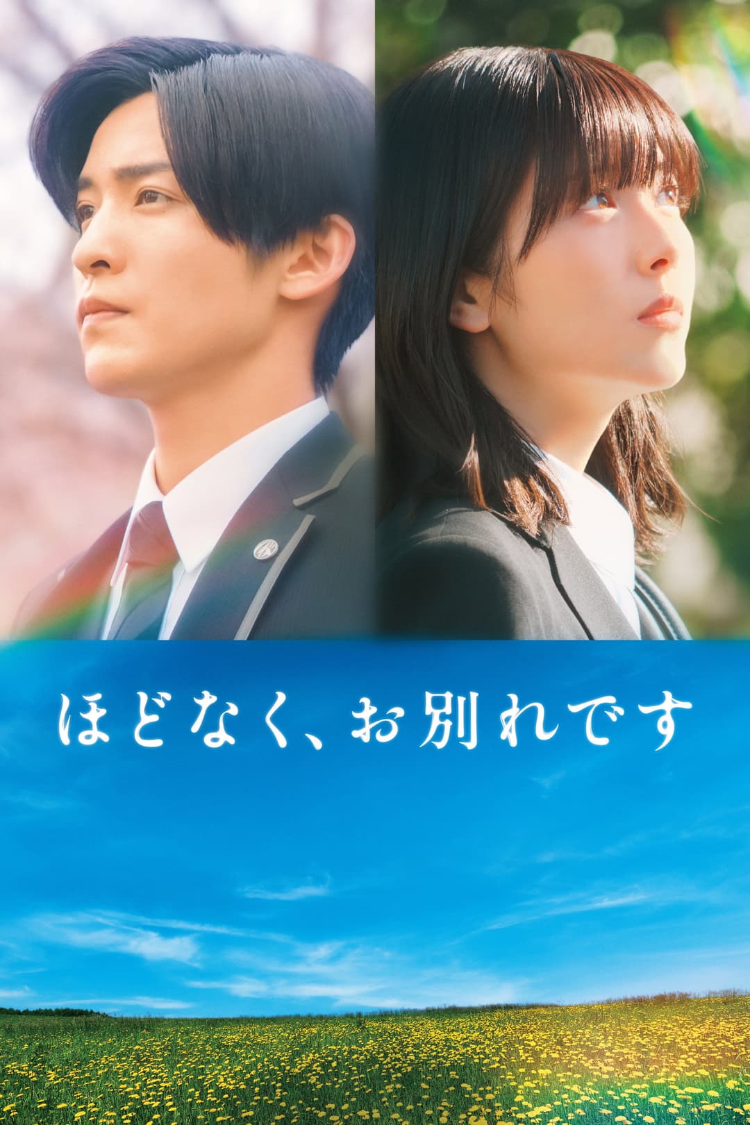 Poster di ほどなく、お別れです