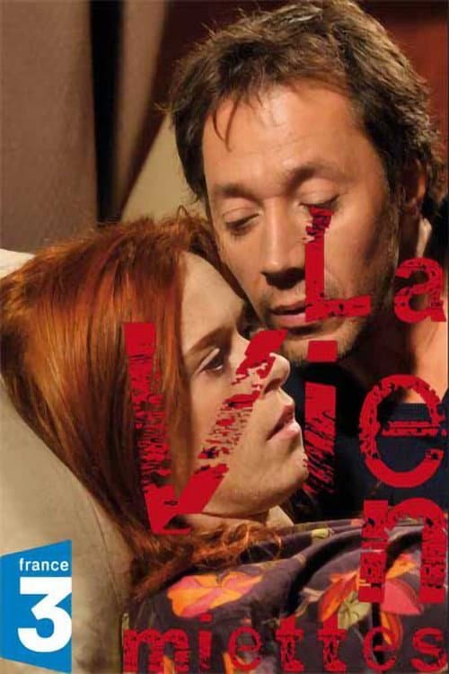 Poster di La Vie en miettes