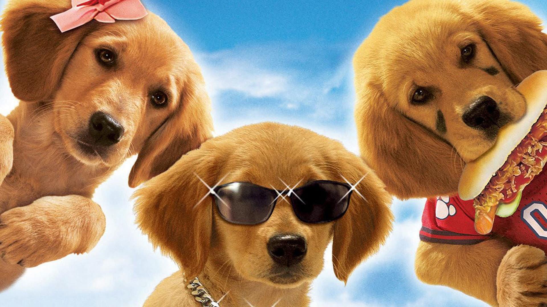 Air Buddies - Cuccioli alla riscossa - immagine