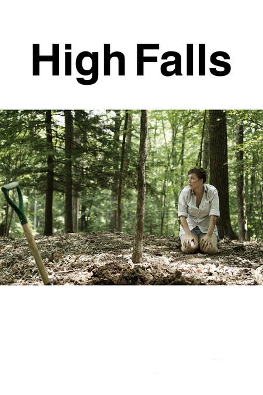 Poster di High Falls
