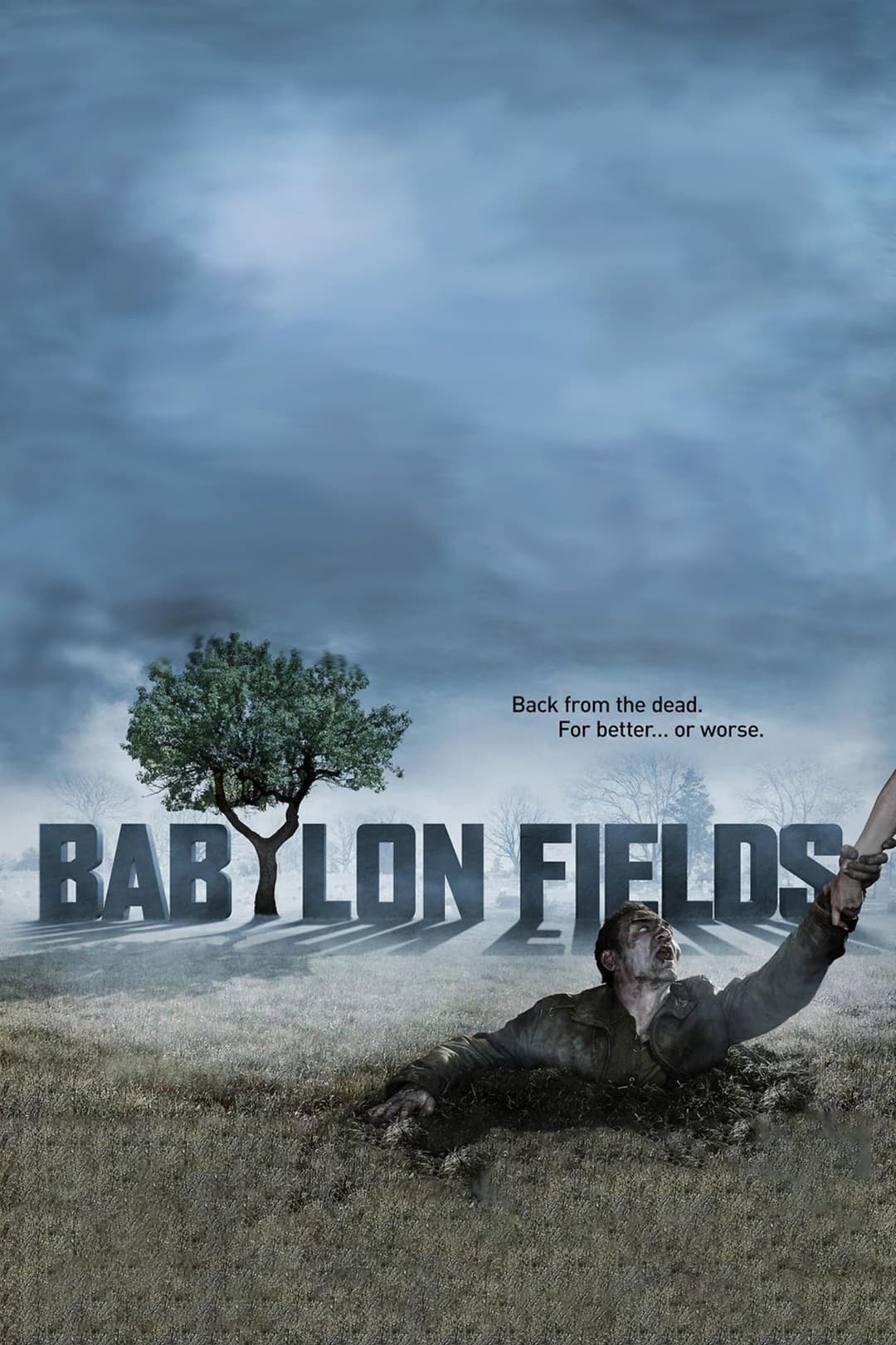 Poster di Babylon Fields