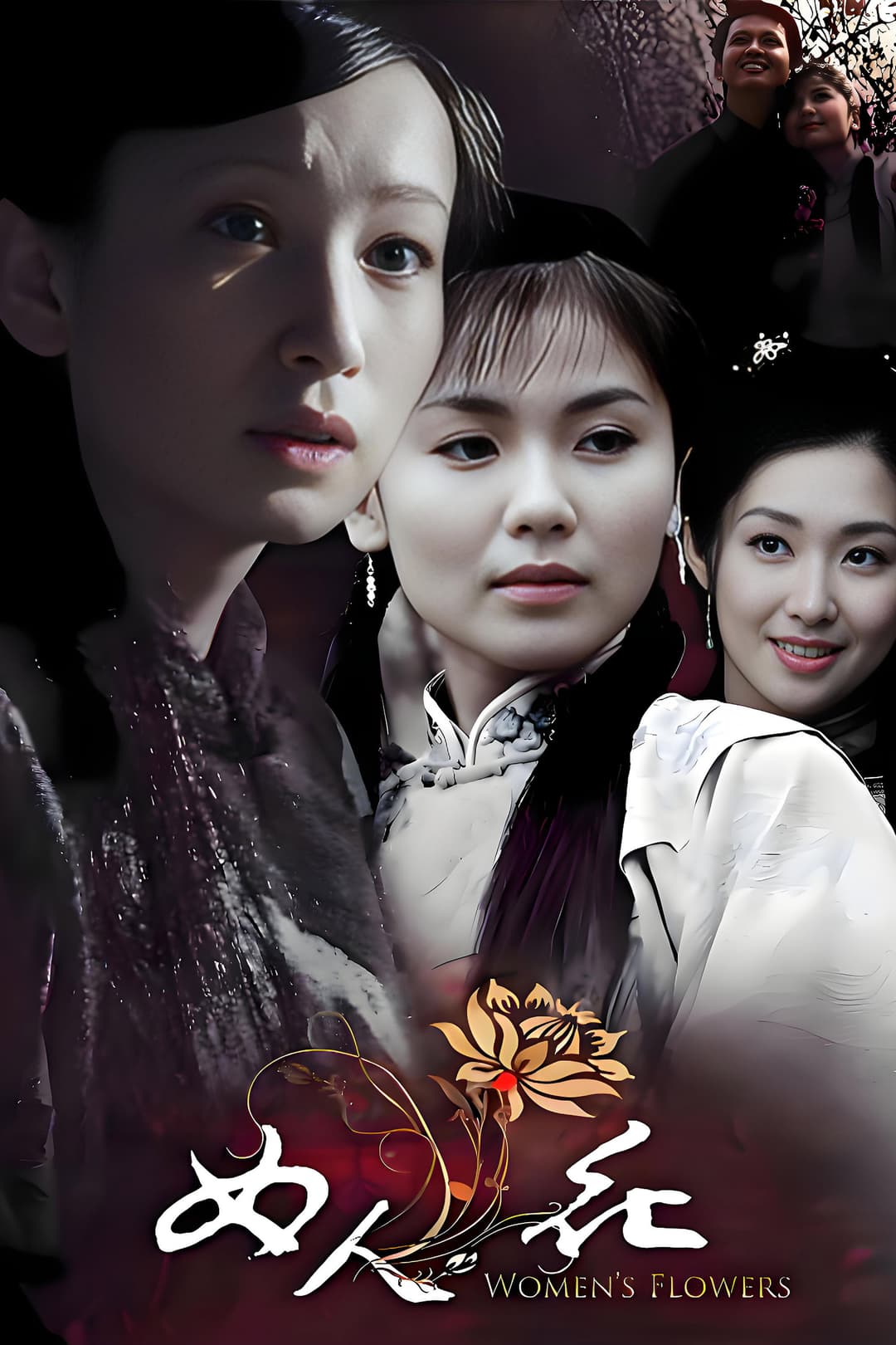 Poster di 女人花