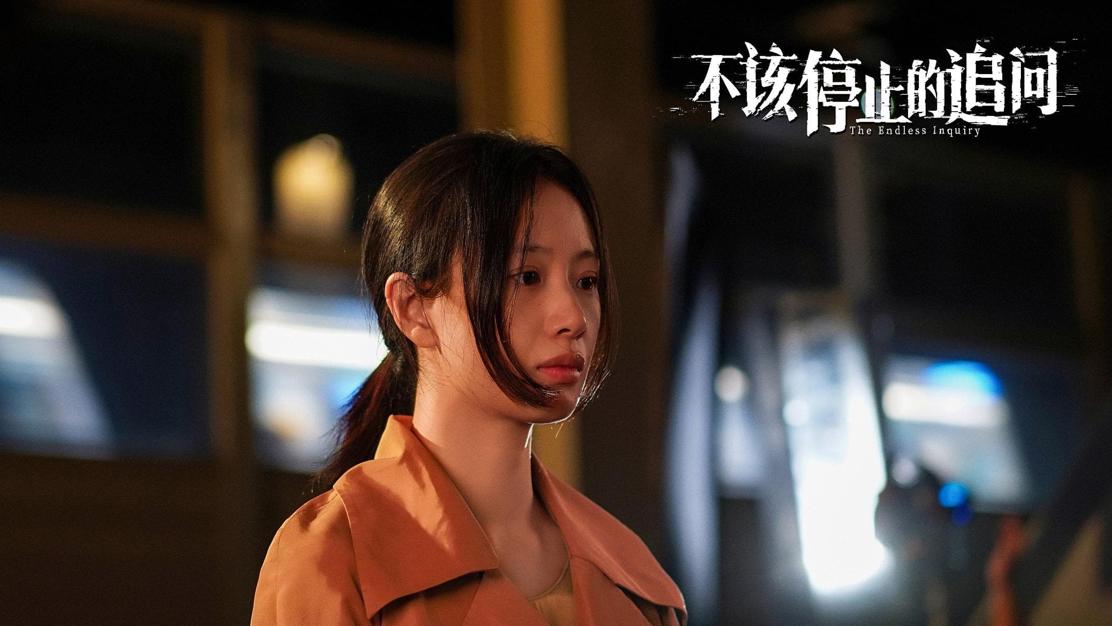 不该停止的追问 - immagine