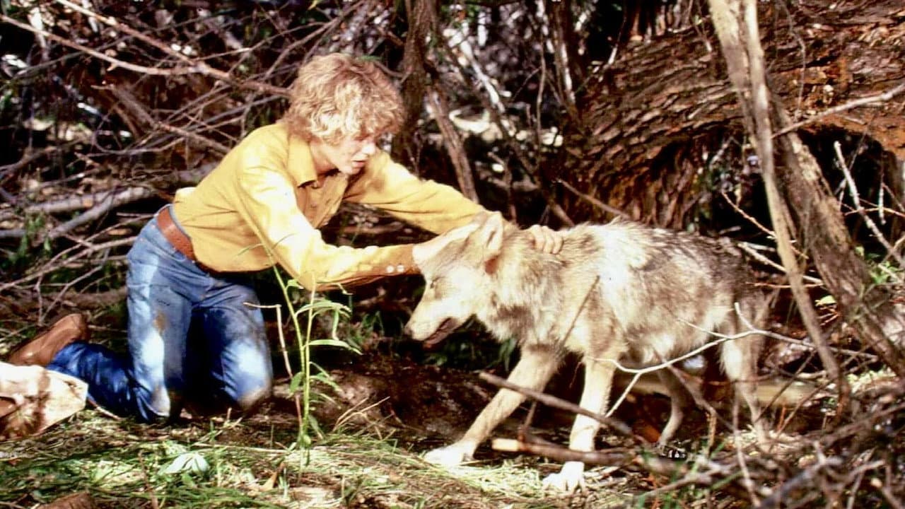 The Flight of the Grey Wolf - immagine