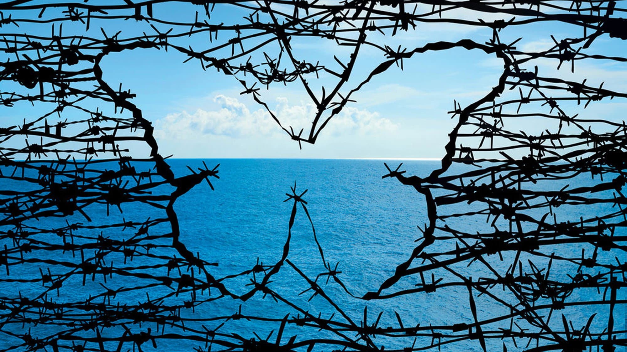 Papillon - immagine