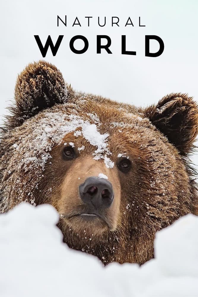 Poster di France: The Wild Side