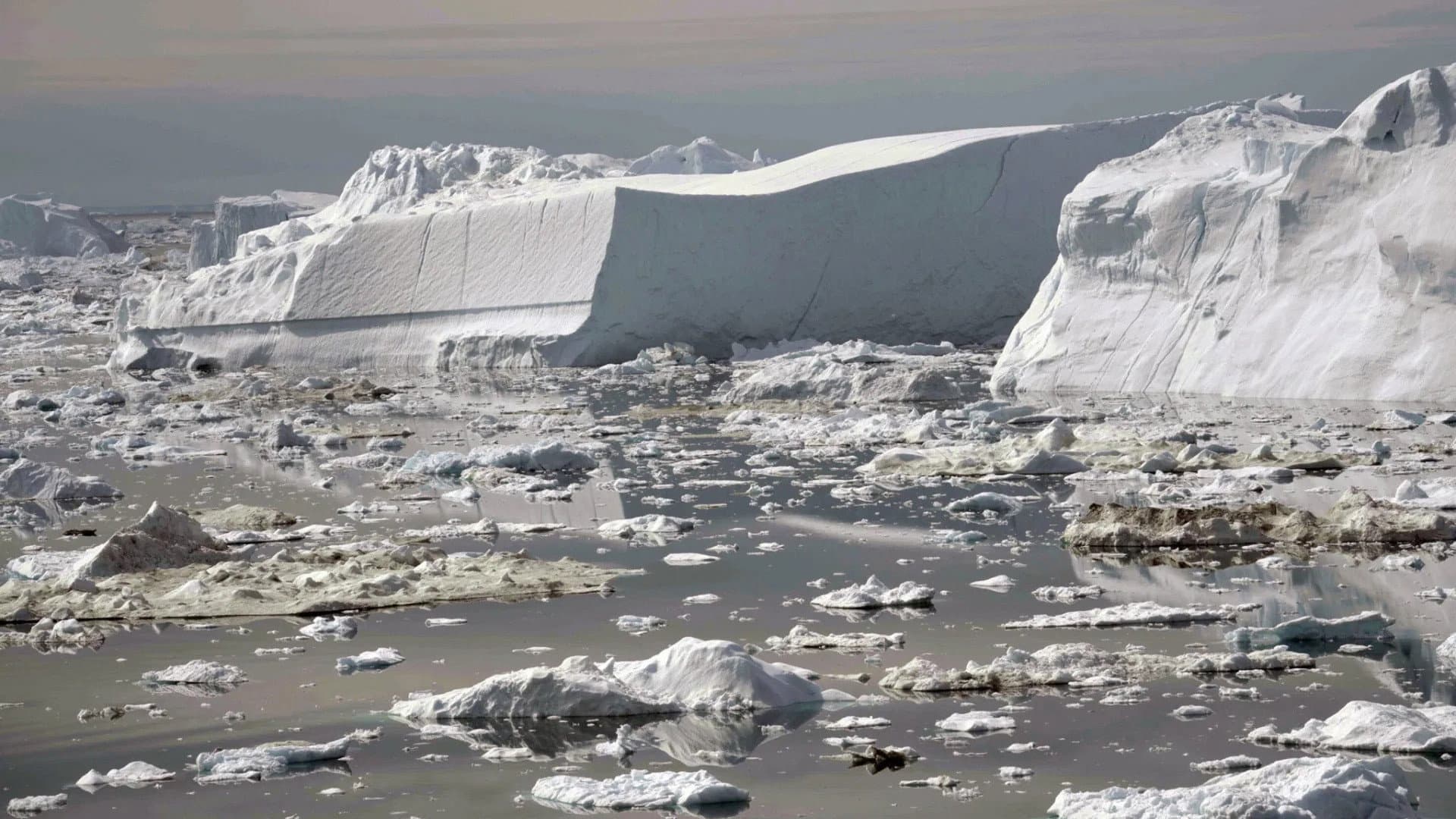 Groenland, L'Eldorado des glaces - immagine