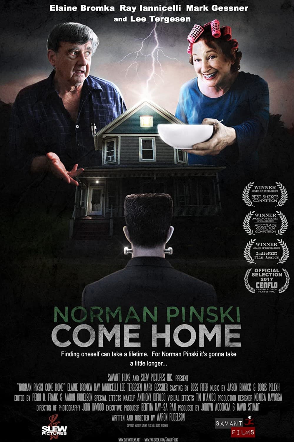 Poster di Norman Pinski Come Home