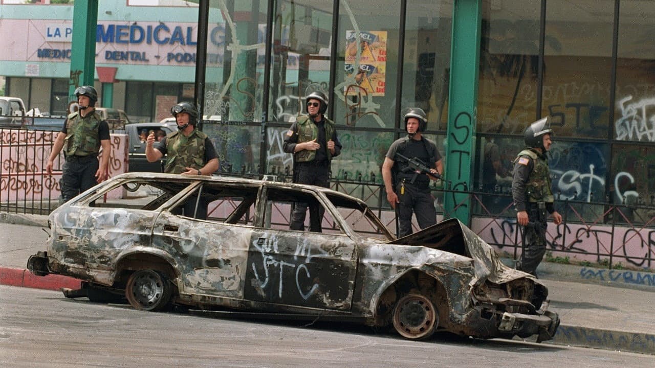 L.A. Burning: The Riots 25 Years Later - immagine