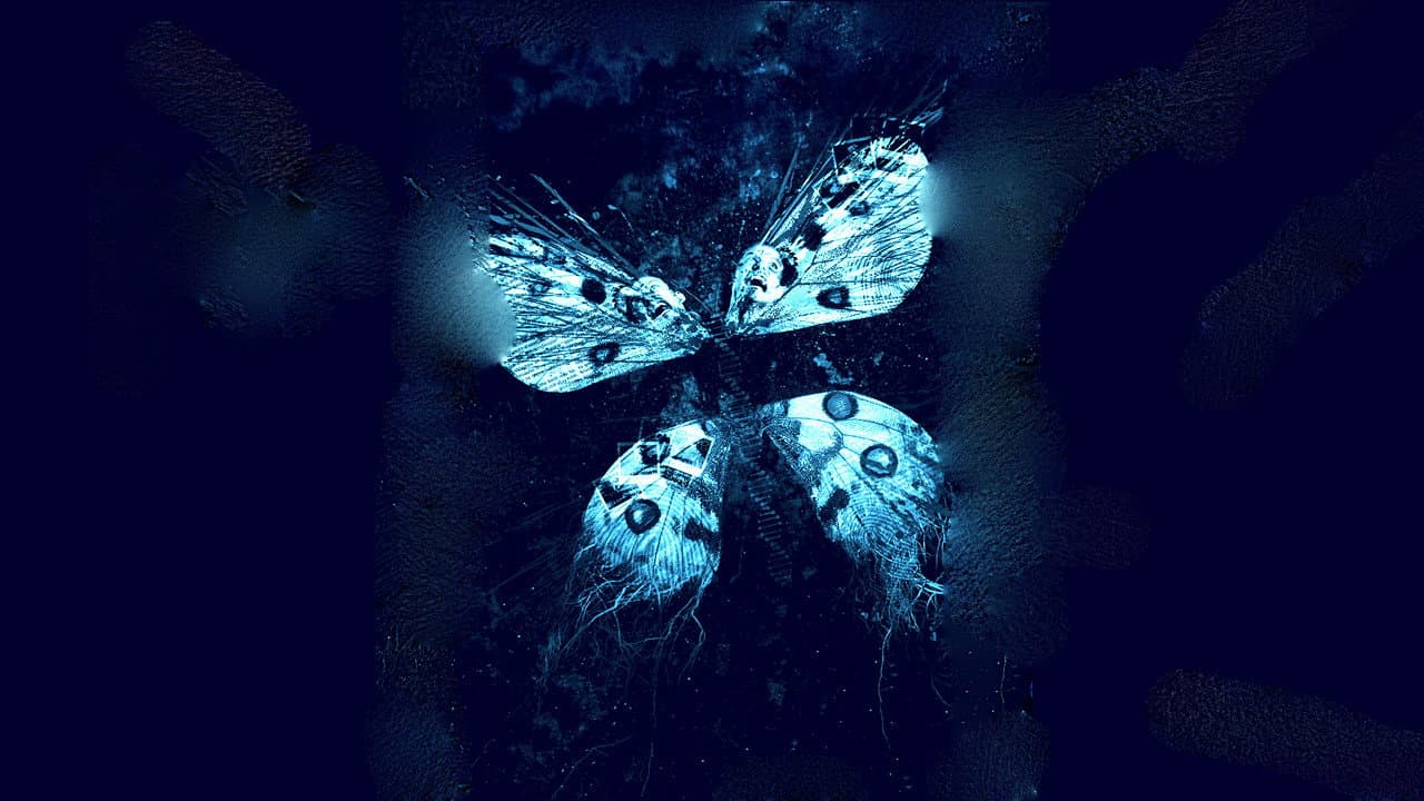 The Butterfly Effect 3: Revelations - immagine