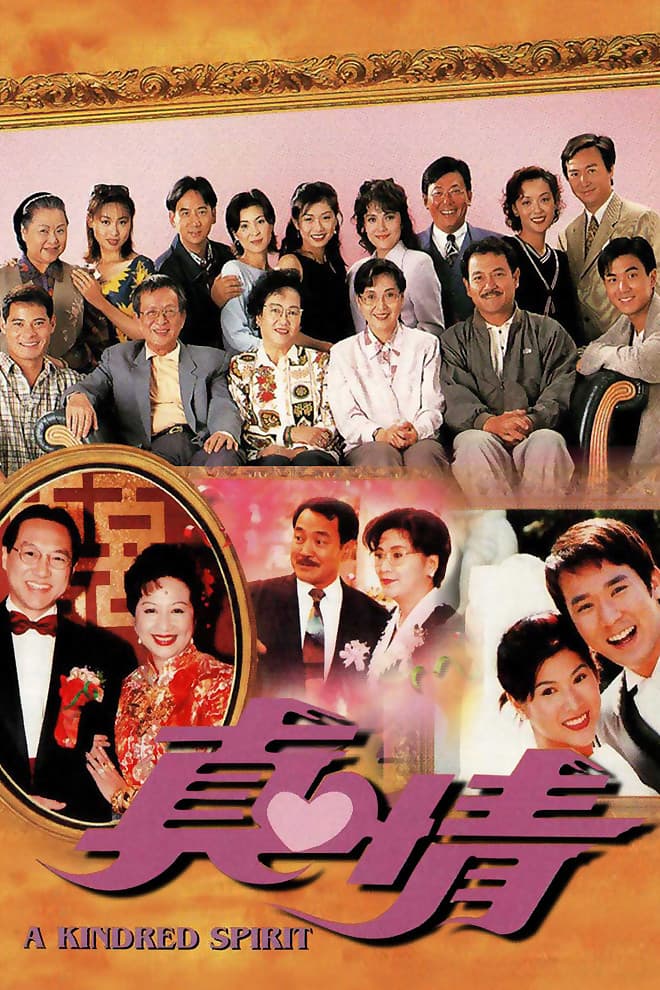 Poster di 真情