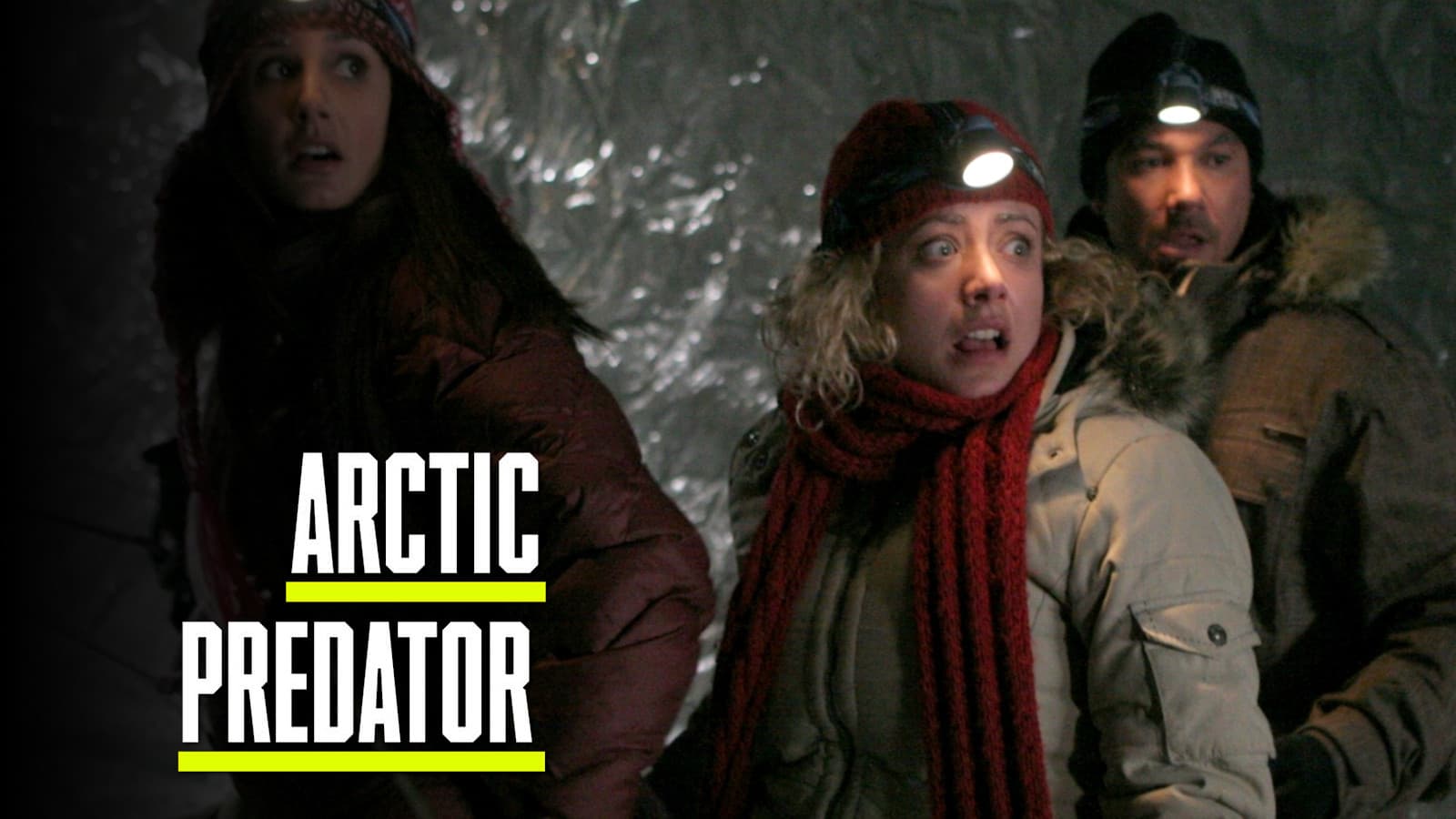Arctic Predator - Terrore tra i ghiacci - immagine