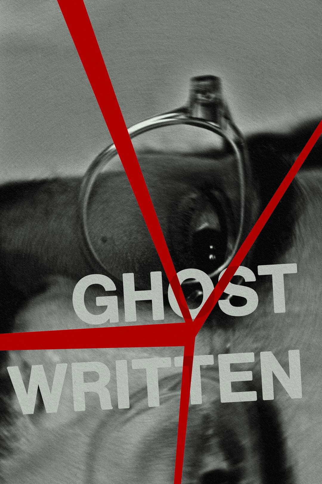 Poster di Ghostwritten