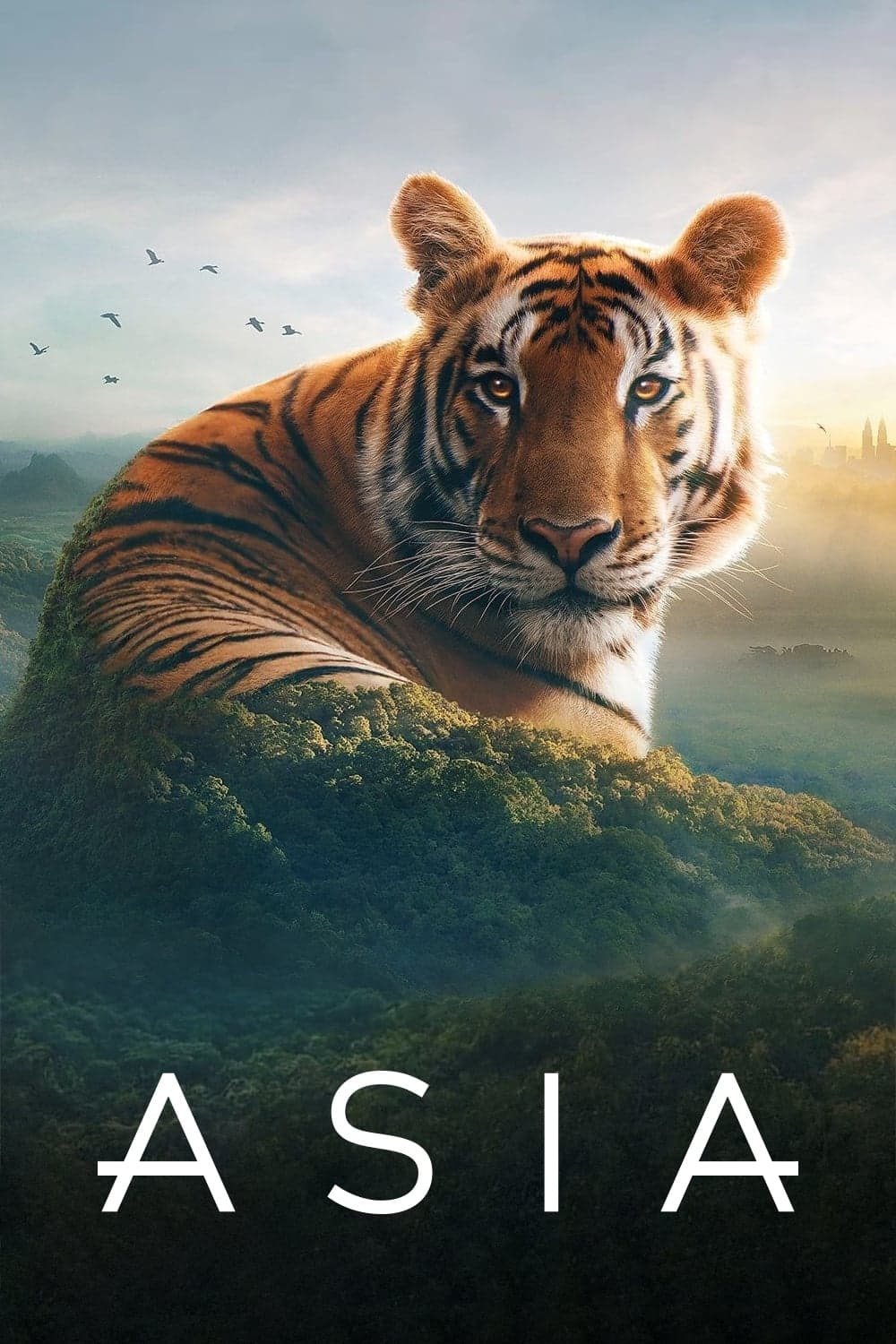 Poster di Asia