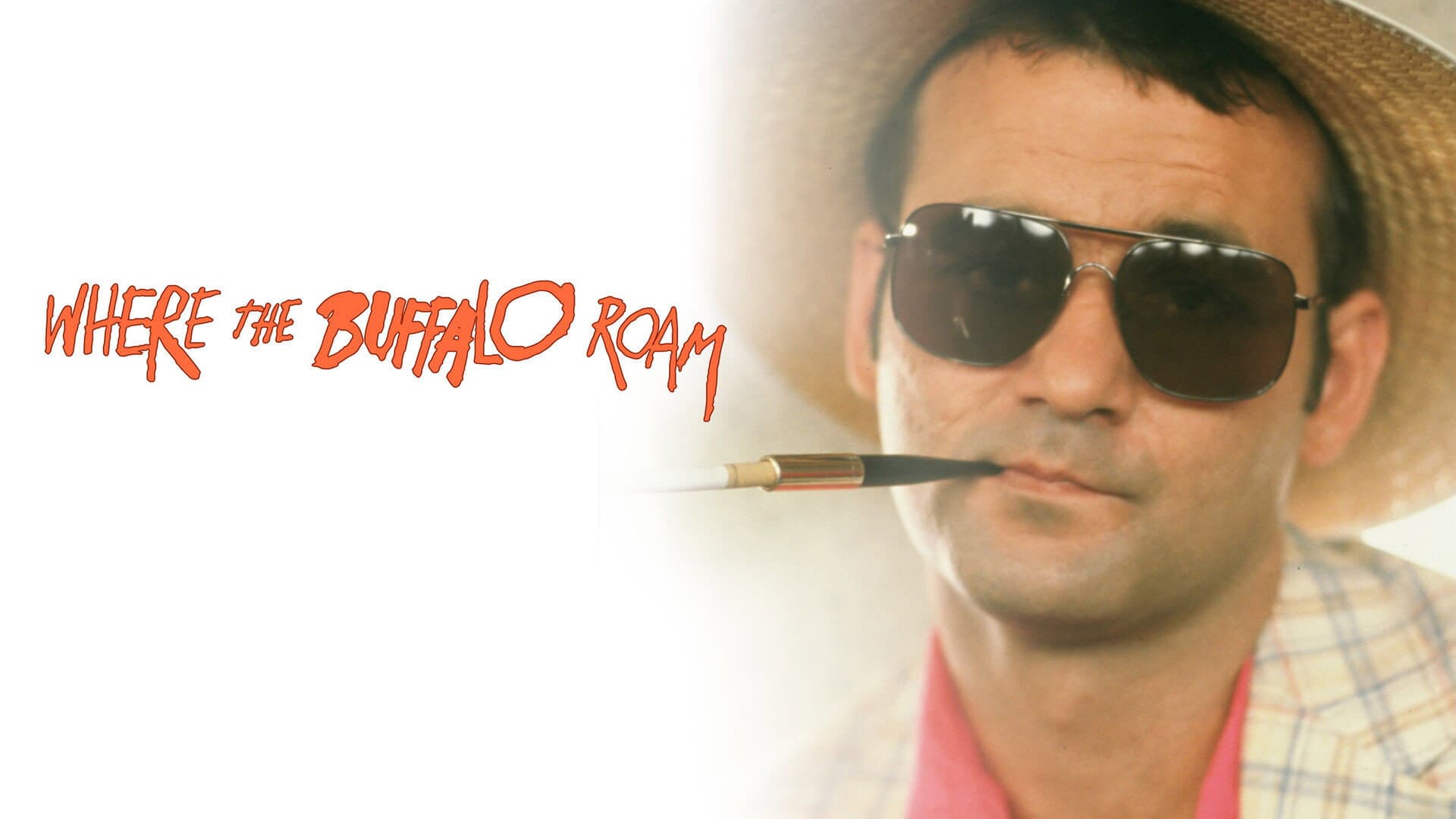 Where the Buffalo Roam - immagine