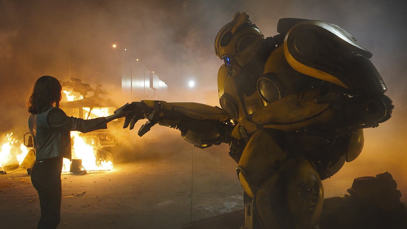 Bumblebee - immagine