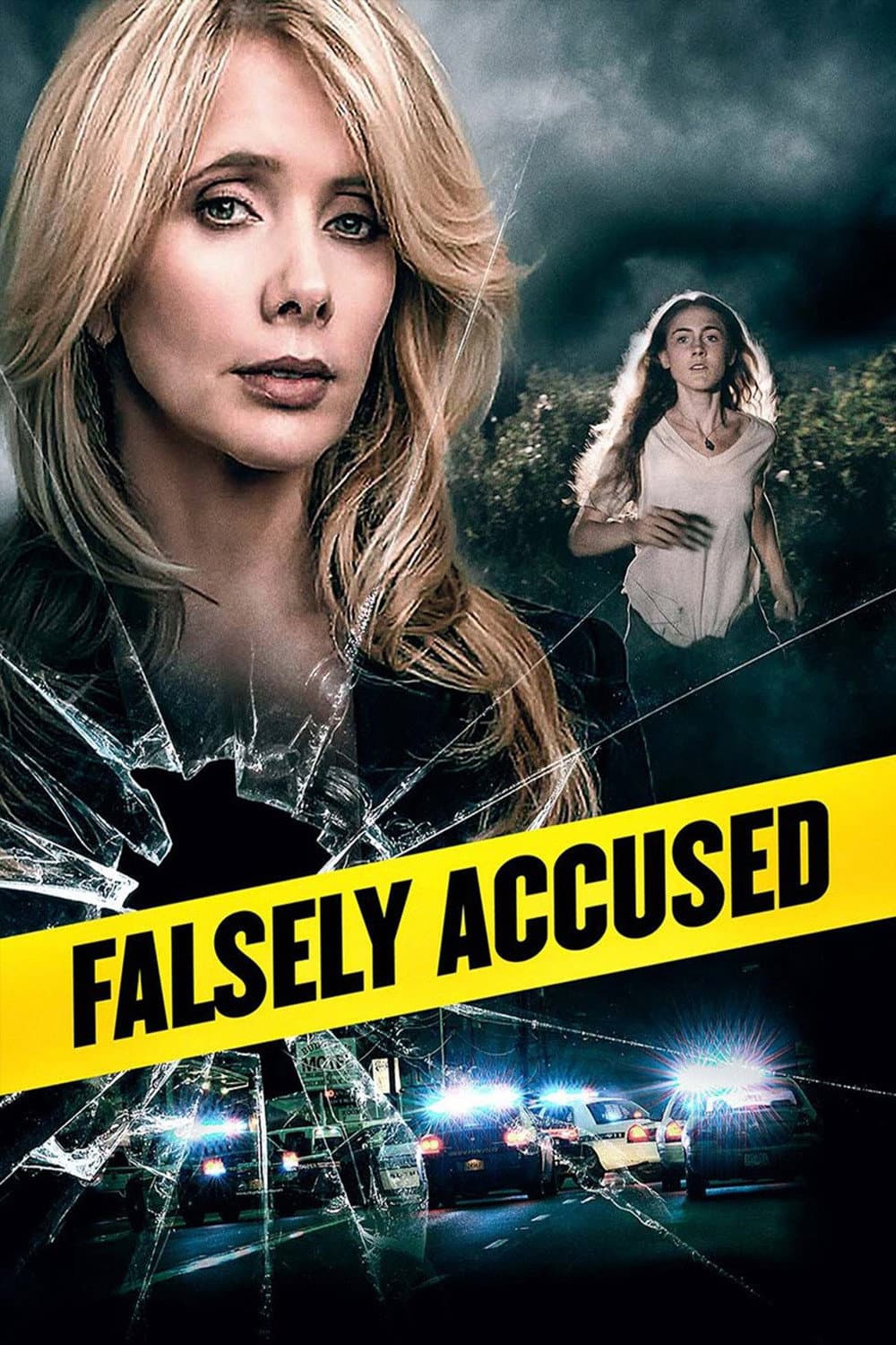 Poster di Falsely Accused