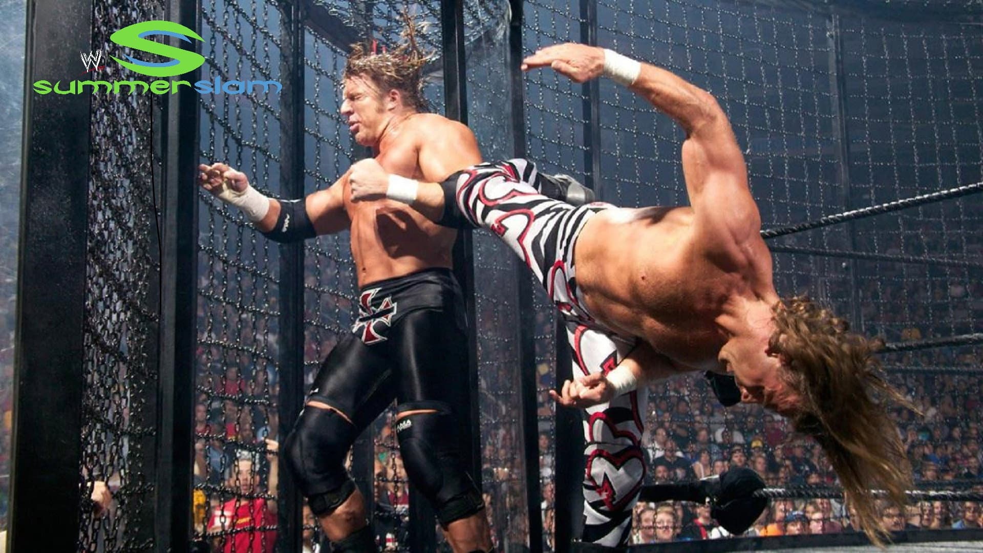 WWE SummerSlam 2003 - immagine