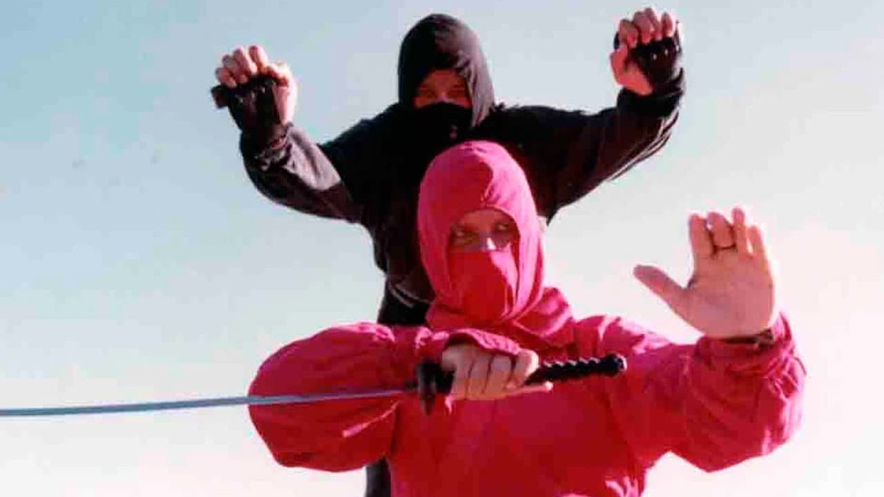 Diamond Ninja Force - immagine