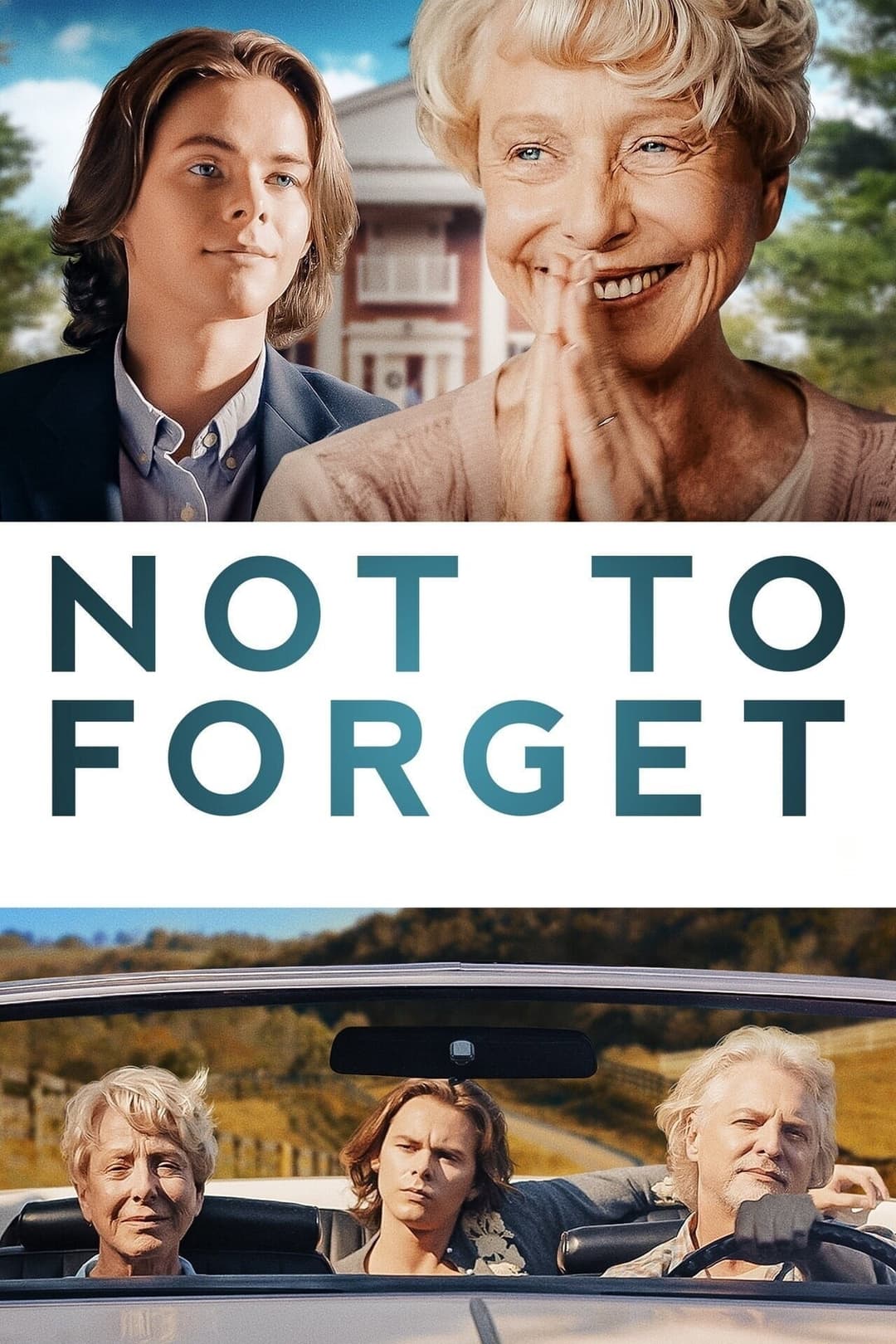 Poster di Not to Forget