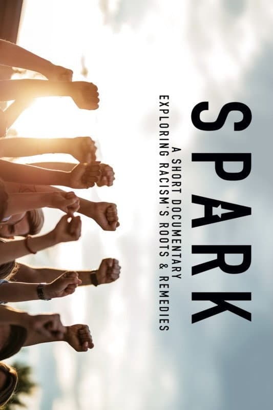 Poster di Spark: A Systemic Racism Story