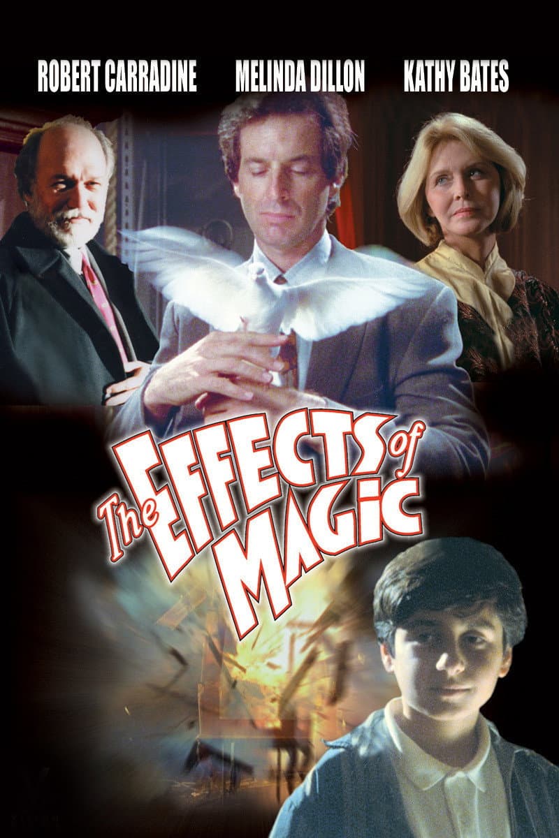 Poster di The Effects of Magic