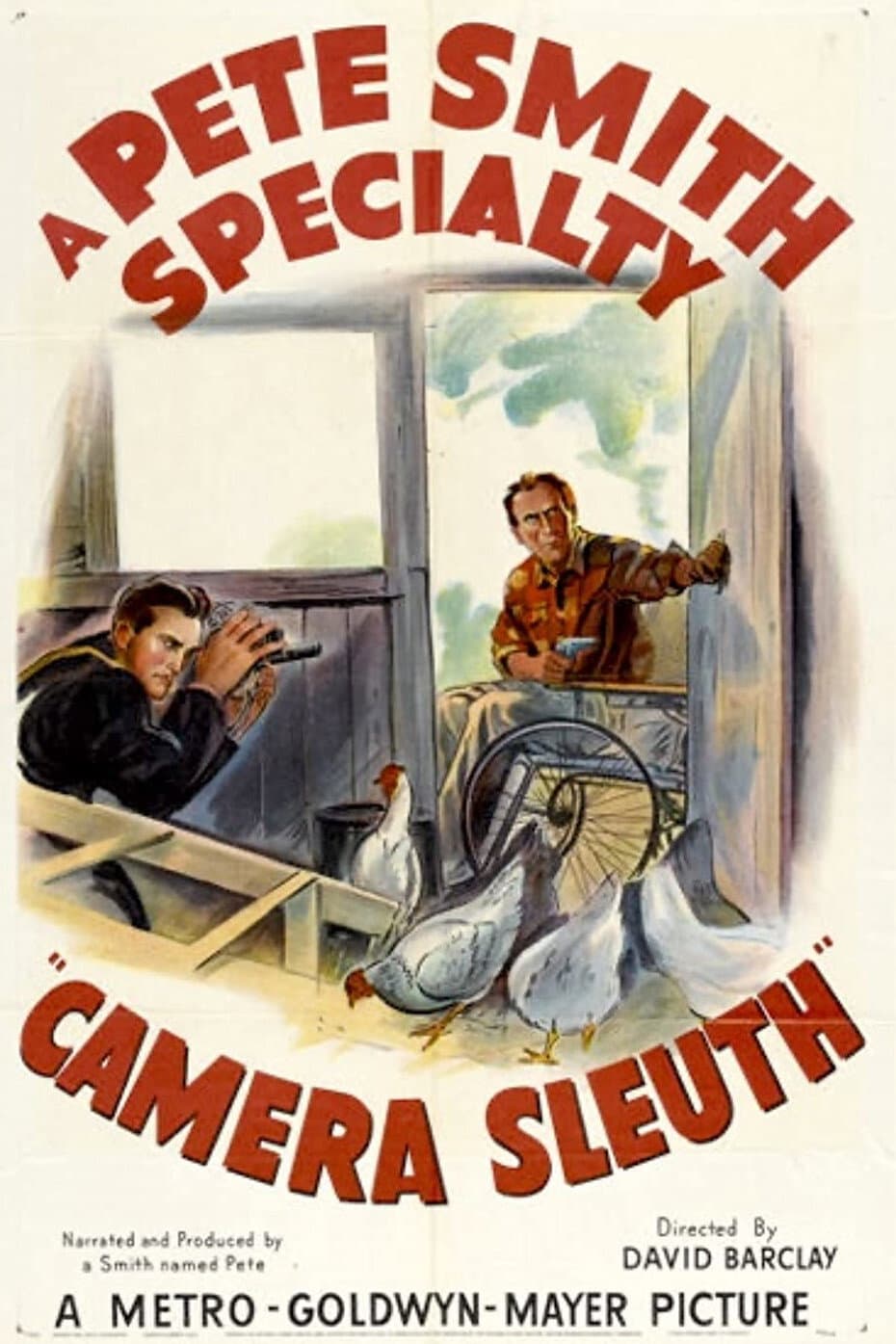 Poster di Camera Sleuth