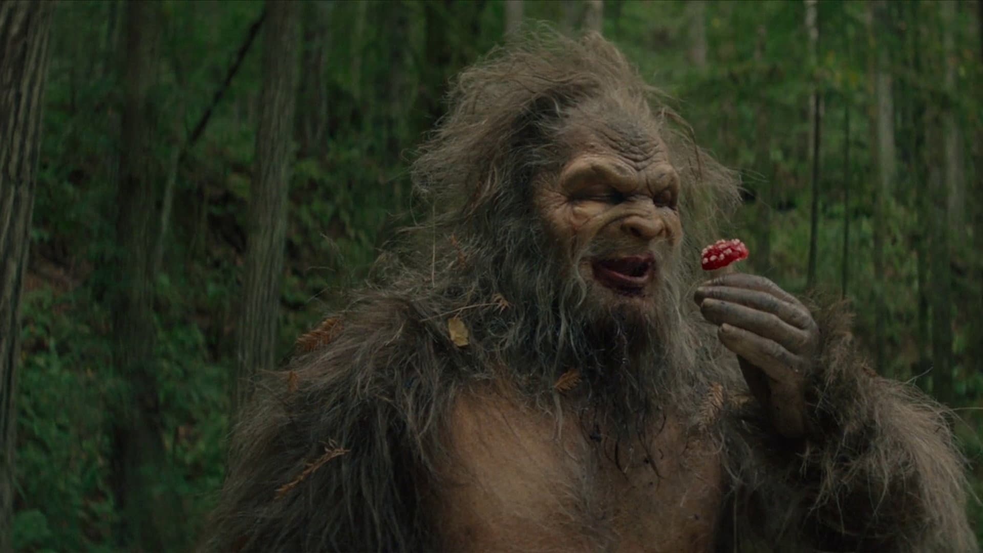 Sasquatch Sunset - immagine