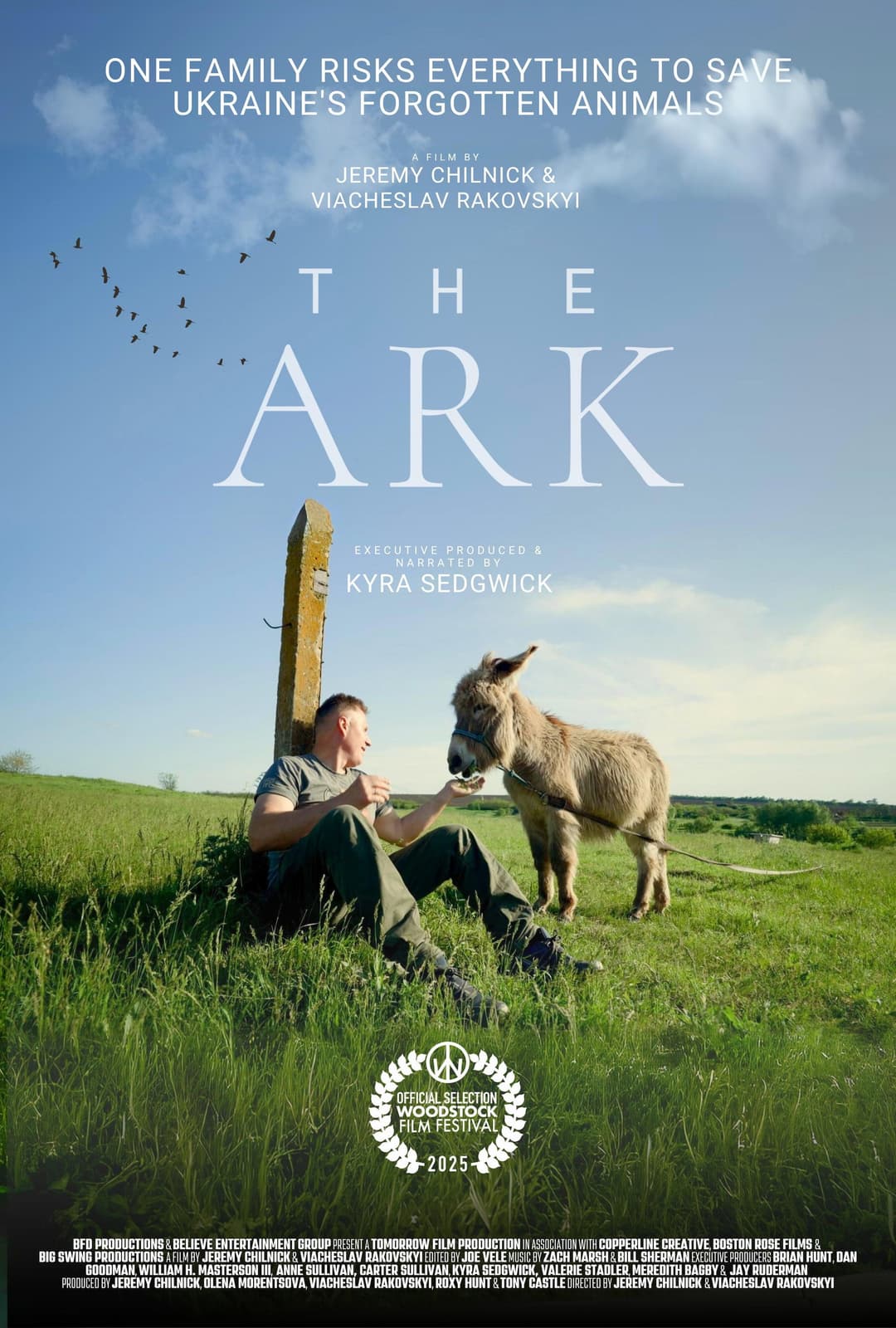 Poster di The Ark