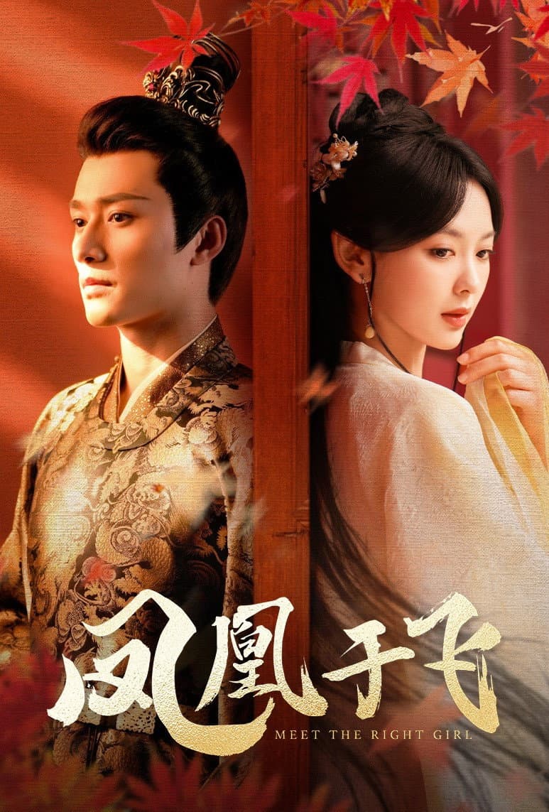 Poster di 凤凰于飞