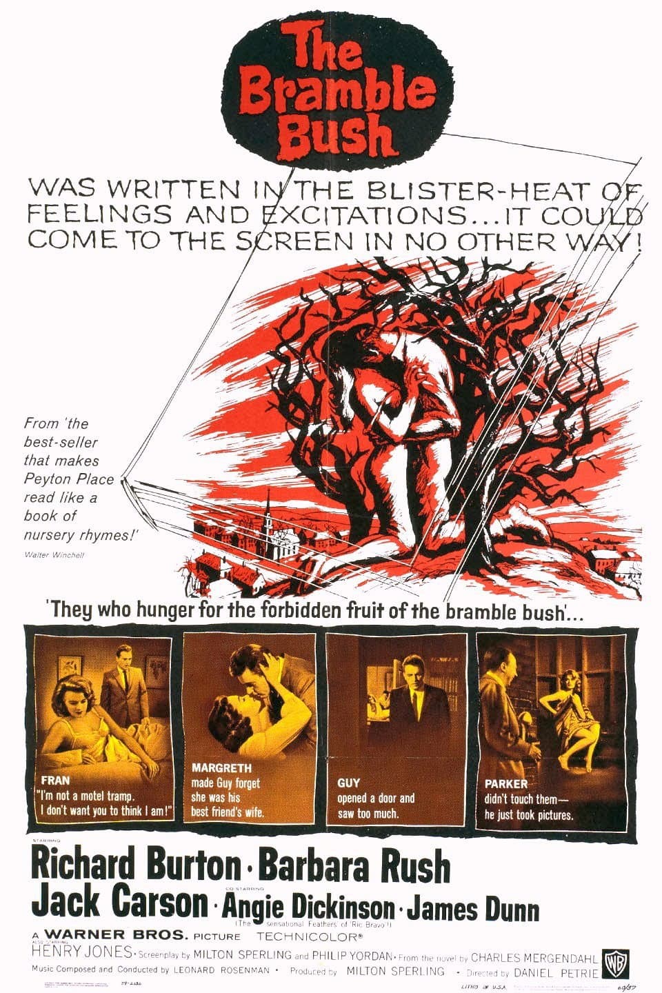 Poster di Il letto di spine
